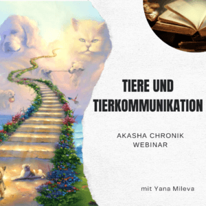 Tierkommunikation Webinar